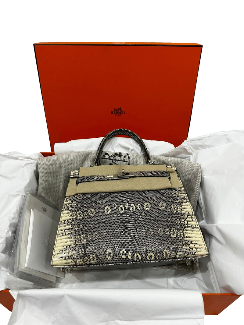 Hermes Kelly Sellier 25 Ombre Varanus Salvator Lizard Palladium Hardware Bag