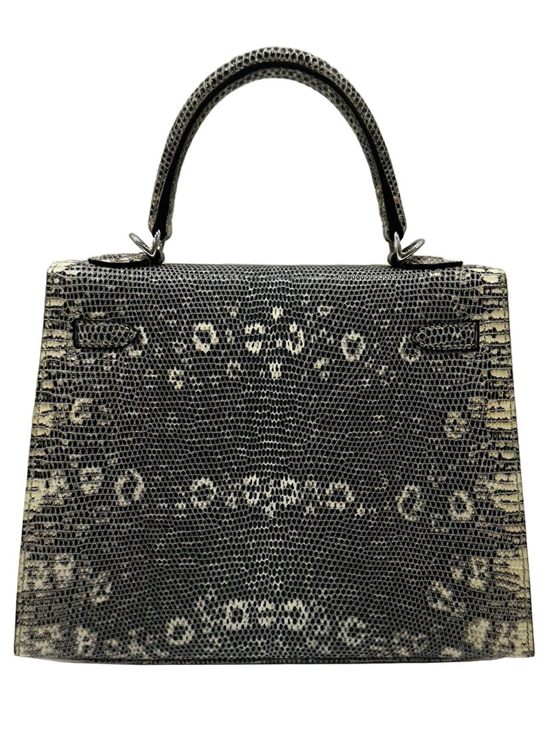 Hermes Kelly Sellier 25 Ombre Varanus Salvator Lizard Palladium Hardware Bag