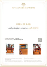 Hermes Birkin 35 Arlequin Orange Sanguine Gold Bleu Lin Clemence in Palladium