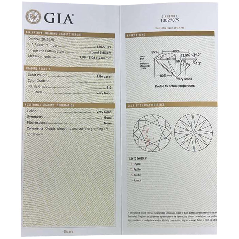 Tiffany & Co 3.91ct GIA Natural Round Brilliant Diamond Stud Earrings Platinum