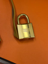 Hermes Birkin 25 Natural Sable Maurice Stamp W Gold Hardware Handbag