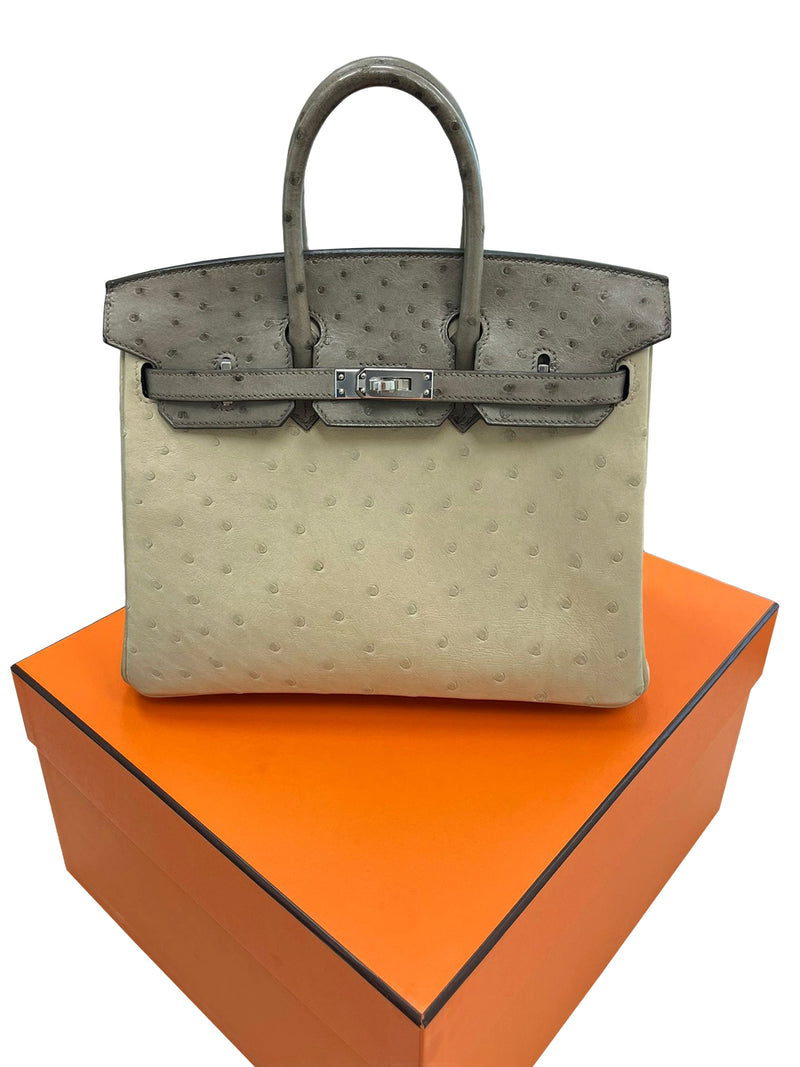 Hermes Birkin 25 Touch 3 Ostrich Calfskin Parchemin Palladium Hardware Handbag
