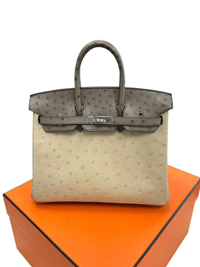 Hermes Birkin 25 Touch 3 Ostrich Calfskin Parchemin Palladium Hardware Handbag