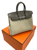 Hermes Birkin 25 Touch 3 Ostrich Calfskin Parchemin Palladium Hardware Handbag