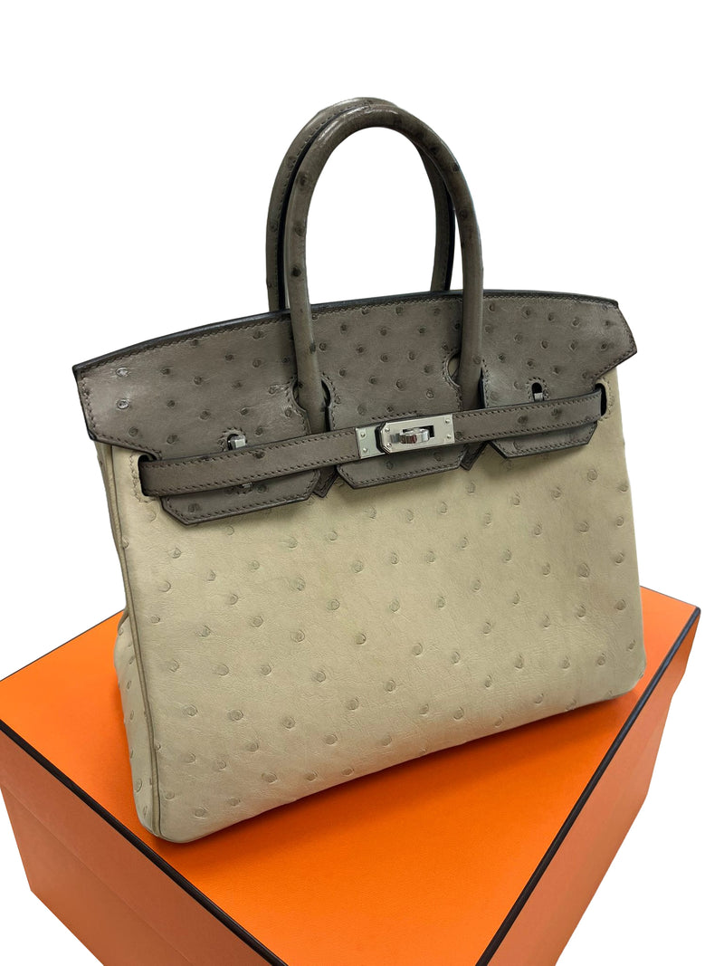 Hermes Birkin 25 Touch 3 Ostrich Calfskin Parchemin Palladium Hardware Handbag