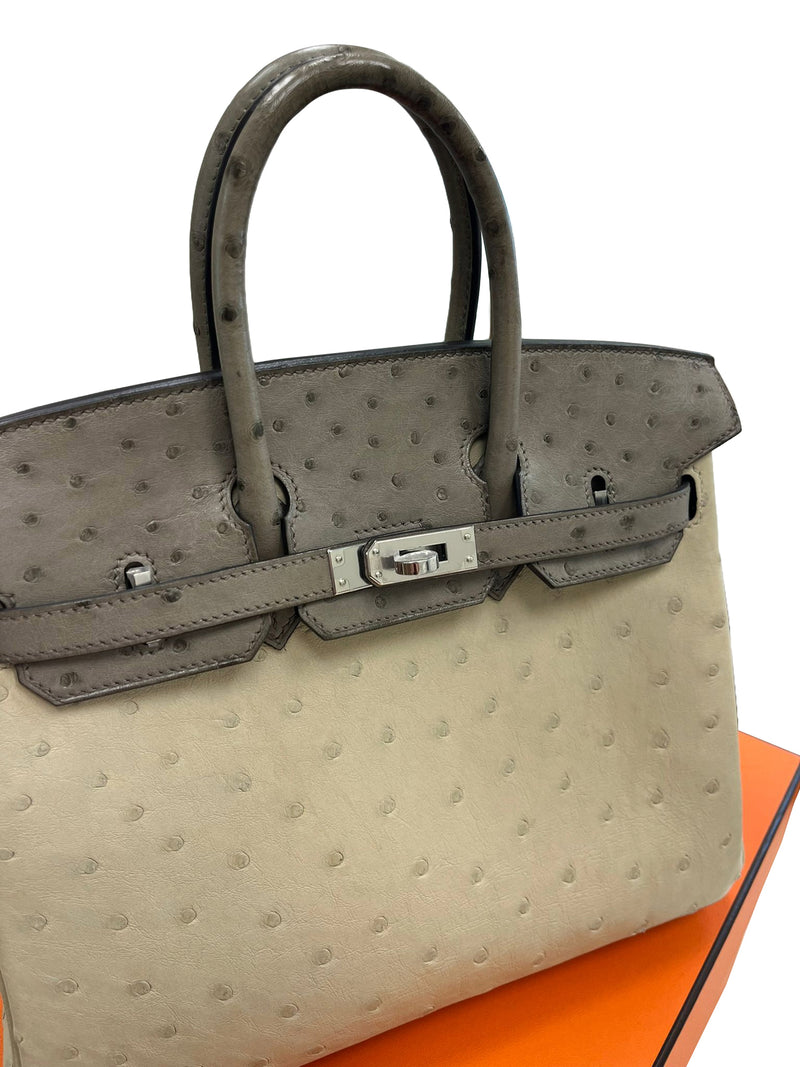Hermes Birkin 25 Touch 3 Ostrich Calfskin Parchemin Palladium Hardware Handbag