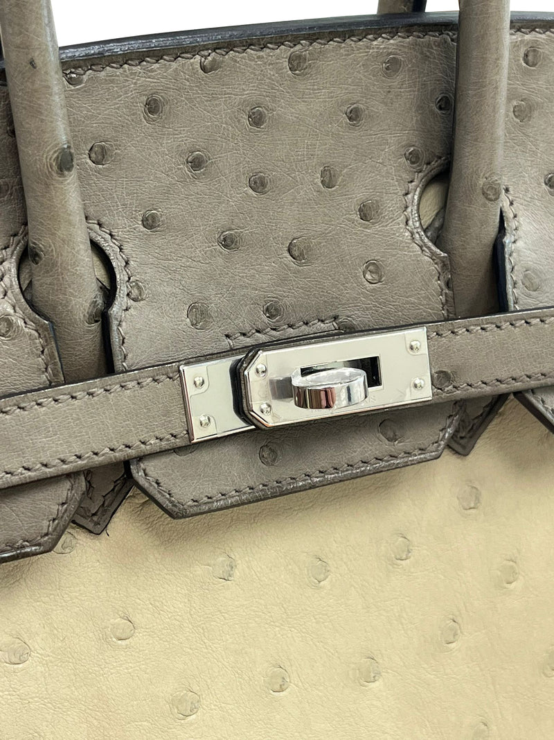 Hermes Birkin 25 Touch 3 Ostrich Calfskin Parchemin Palladium Hardware Handbag