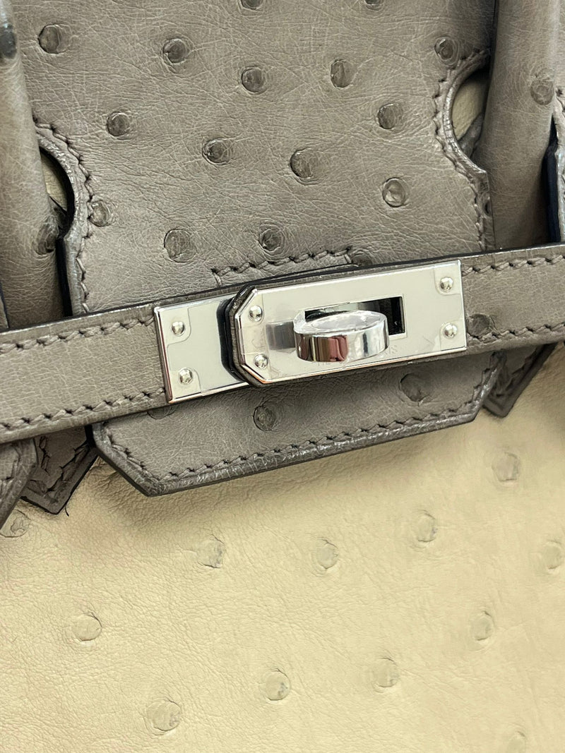 Hermes Birkin 25 Touch 3 Ostrich Calfskin Parchemin Palladium Hardware Handbag