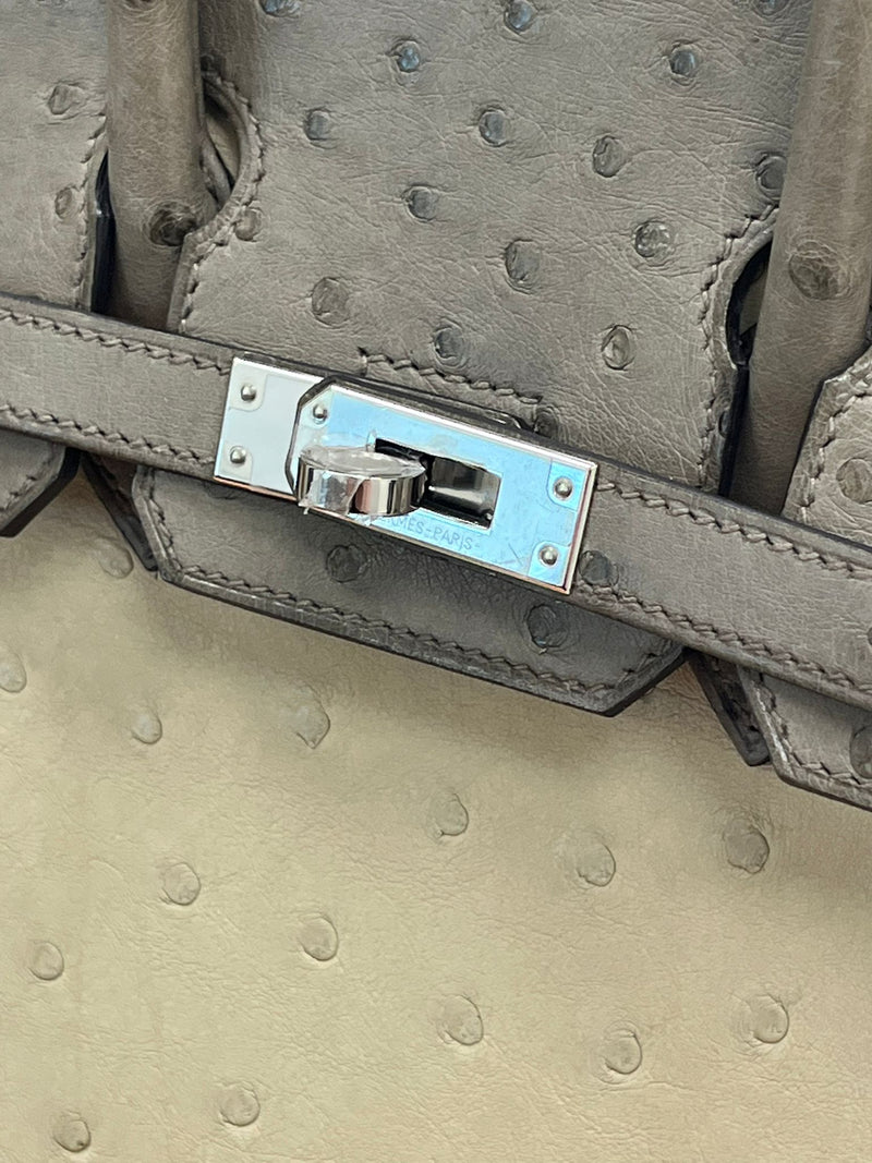 Hermes Birkin 25 Touch 3 Ostrich Calfskin Parchemin Palladium Hardware Handbag