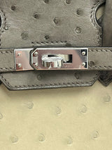 Hermes Birkin 25 Touch 3 Ostrich Calfskin Parchemin Palladium Hardware Handbag