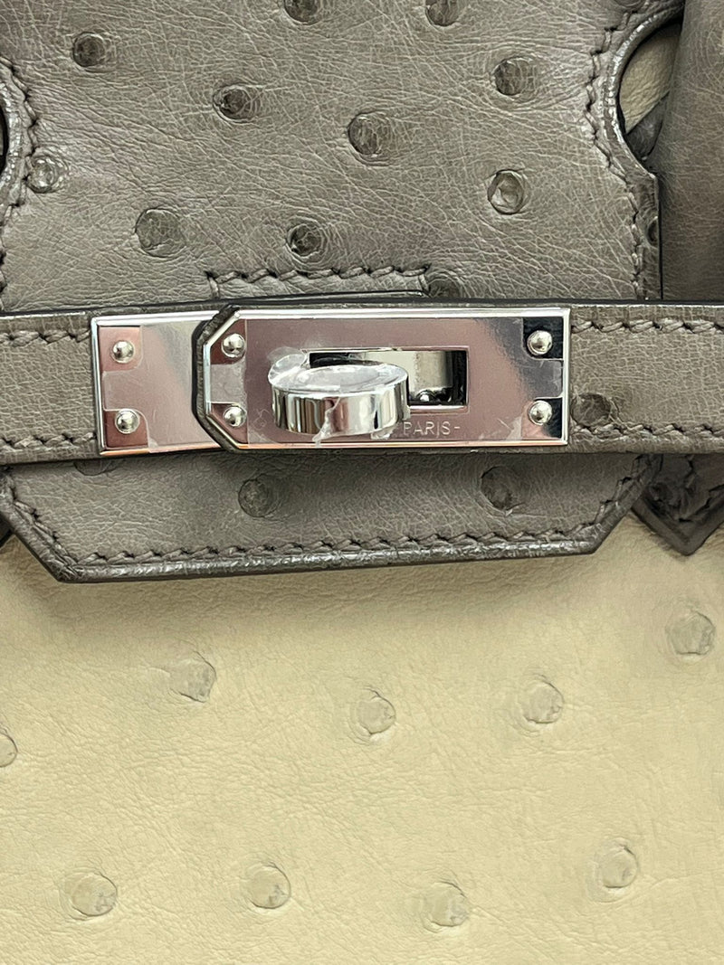 Hermes Birkin 25 Touch 3 Ostrich Calfskin Parchemin Palladium Hardware Handbag