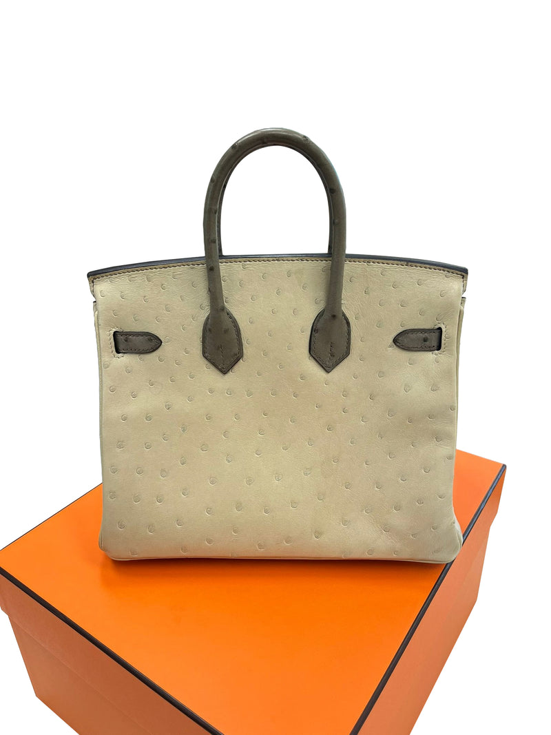 Hermes Birkin 25 Touch 3 Ostrich Calfskin Parchemin Palladium Hardware Handbag