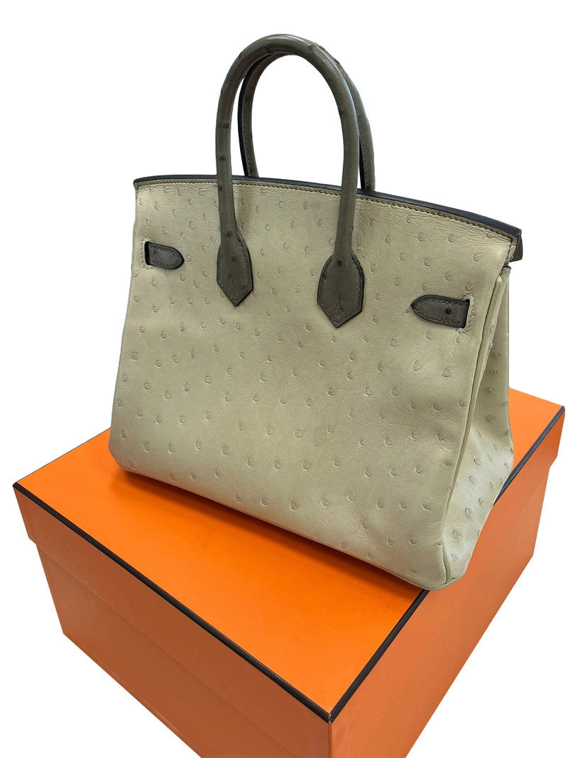Hermes Birkin 25 Touch 3 Ostrich Calfskin Parchemin Palladium Hardware Handbag
