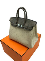 Hermes Birkin 25 Touch 3 Ostrich Calfskin Parchemin Palladium Hardware Handbag
