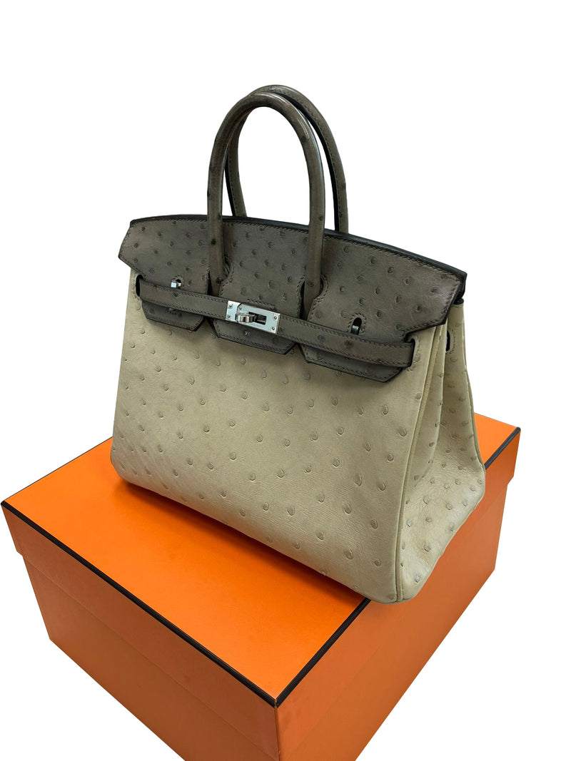 Hermes Birkin 25 Touch 3 Ostrich Calfskin Parchemin Palladium Hardware Handbag