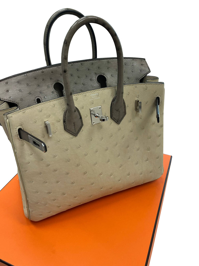 Hermes Birkin 25 Touch 3 Ostrich Calfskin Parchemin Palladium Hardware Handbag