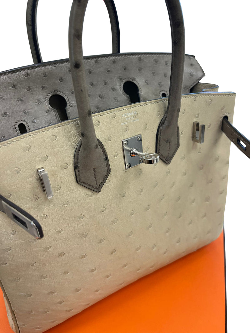 Hermes Birkin 25 Touch 3 Ostrich Calfskin Parchemin Palladium Hardware Handbag