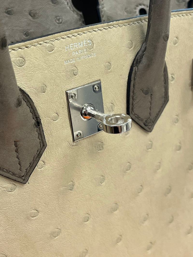 Hermes Birkin 25 Touch 3 Ostrich Calfskin Parchemin Palladium Hardware Handbag