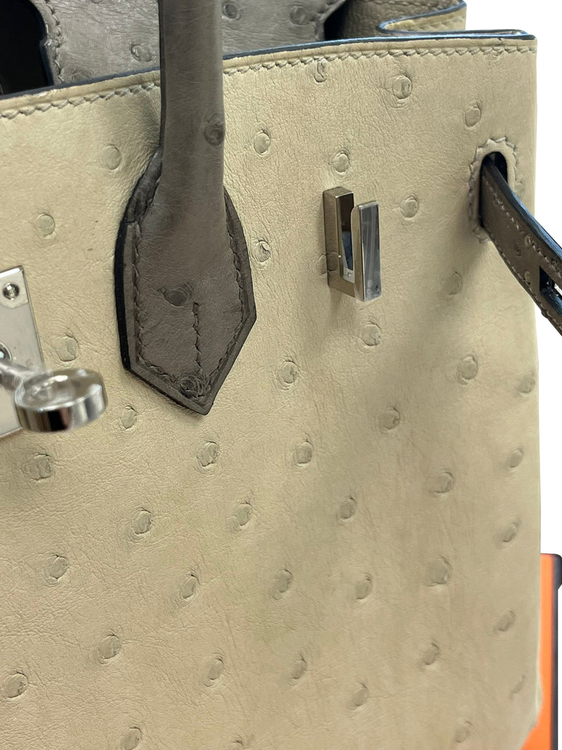Hermes Birkin 25 Touch 3 Ostrich Calfskin Parchemin Palladium Hardware Handbag