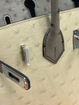 Hermes Birkin 25 Touch 3 Ostrich Calfskin Parchemin Palladium Hardware Handbag