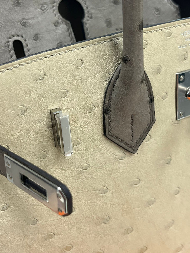 Hermes Birkin 25 Touch 3 Ostrich Calfskin Parchemin Palladium Hardware Handbag