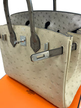 Hermes Birkin 25 Touch 3 Ostrich Calfskin Parchemin Palladium Hardware Handbag