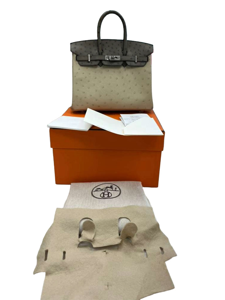 Hermes Birkin 25 Touch 3 Ostrich Calfskin Parchemin Palladium Hardware Handbag