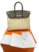 Hermes Birkin 25 Touch 3 Ostrich Calfskin Parchemin Palladium Hardware Handbag