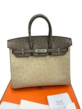 Hermes Birkin 25 Touch 3 Ostrich Calfskin Parchemin Palladium Hardware Handbag