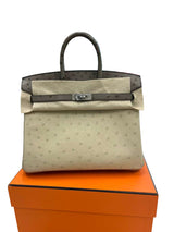 Hermes Birkin 25 Touch 3 Ostrich Calfskin Parchemin Palladium Hardware Handbag