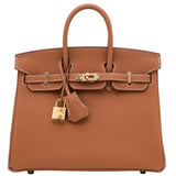 Hermes Birkin 25 Gold Togo Leather Gold Hardware 2025 Handbag