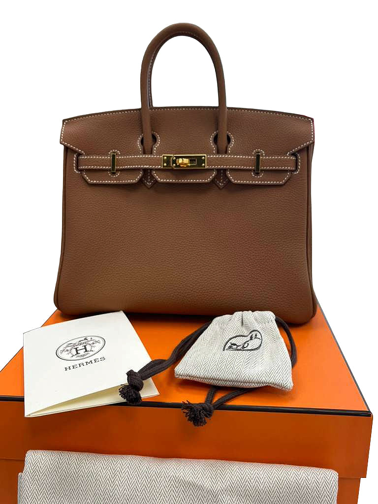 Hermes Birkin 25 Gold Togo Leather Gold Hardware 2025 Handbag