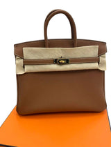 Hermes Birkin 25 Gold Togo Leather Gold Hardware 2025 Handbag