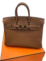 Hermes Birkin 25 Gold Togo Leather Gold Hardware 2025 Handbag