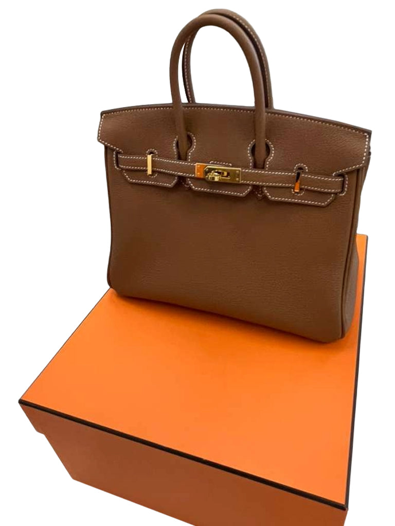Hermes Birkin 25 Gold Togo Leather Gold Hardware 2025 Handbag