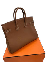 Hermes Birkin 25 Gold Togo Leather Gold Hardware 2025 Handbag
