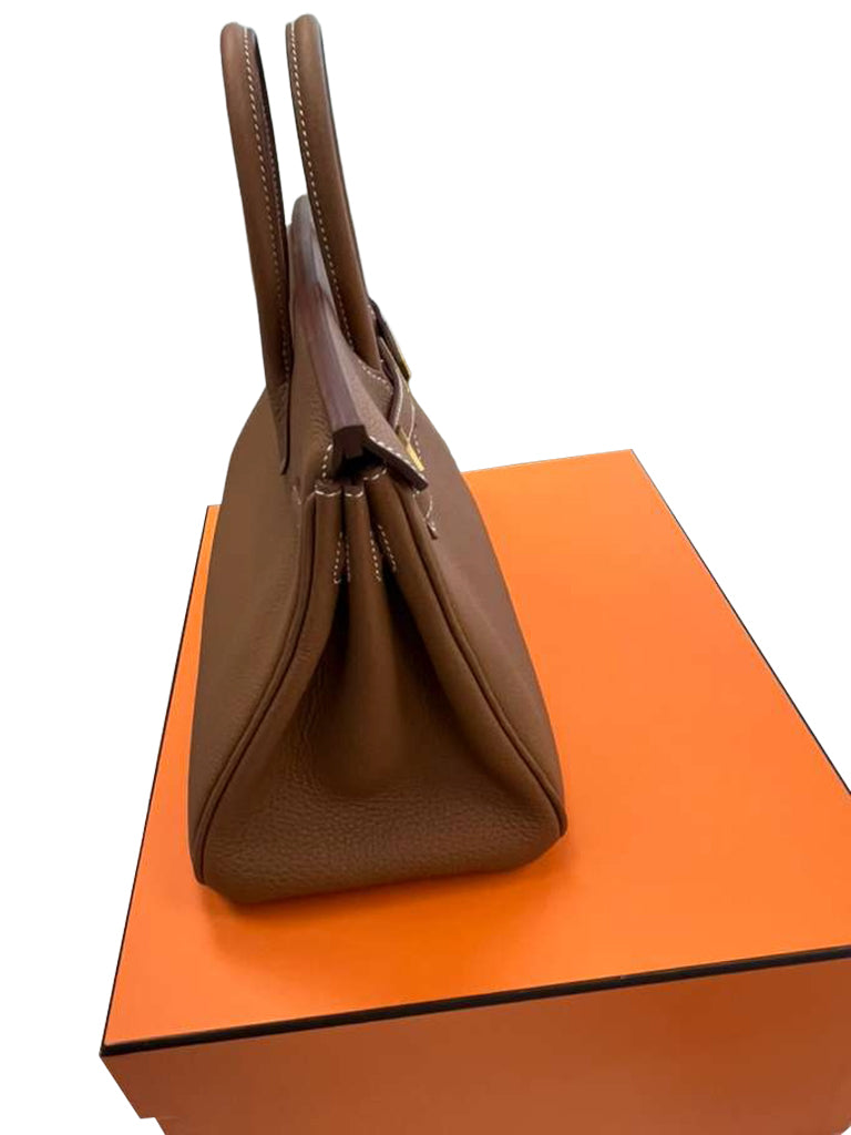 Hermes Birkin 25 Gold Togo Leather Gold Hardware 2025 Handbag