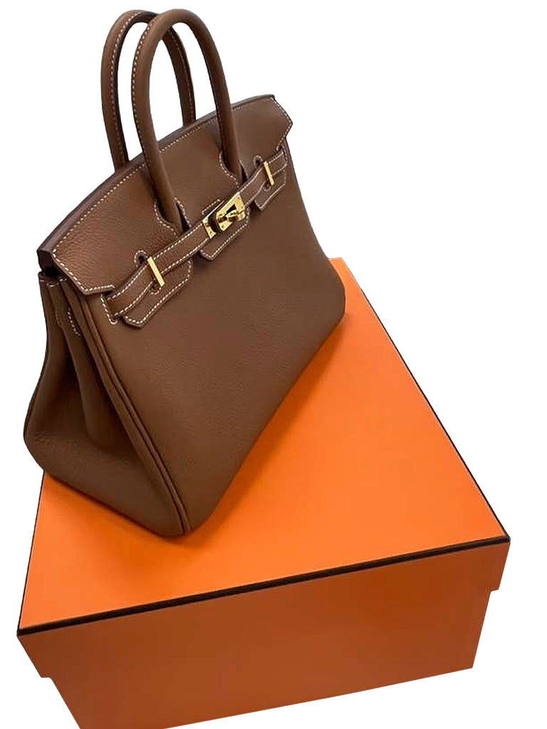 Hermes Birkin 25 Gold Togo Leather Gold Hardware 2025 Handbag