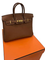 Hermes Birkin 25 Gold Togo Leather Gold Hardware 2025 Handbag