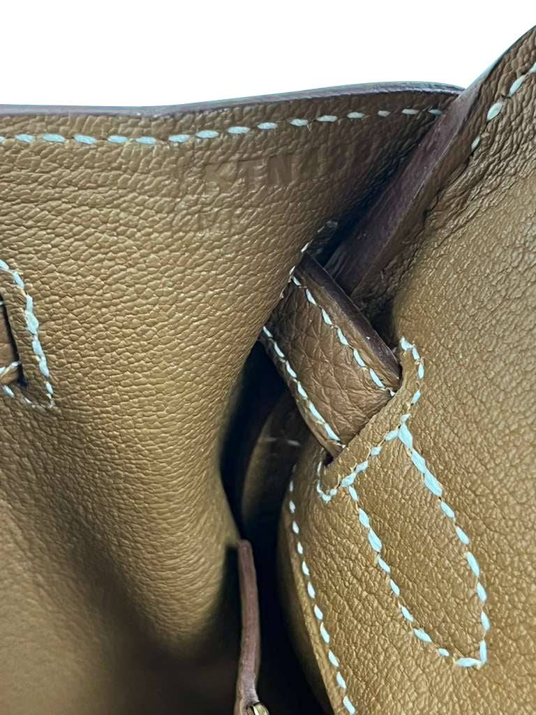 Hermes Birkin 25 Gold Togo Leather Gold Hardware 2025 Handbag