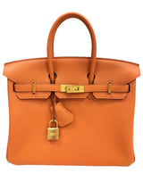Hermes Birkin 25 Orange Togo Leather with Gold Hardware Handbag