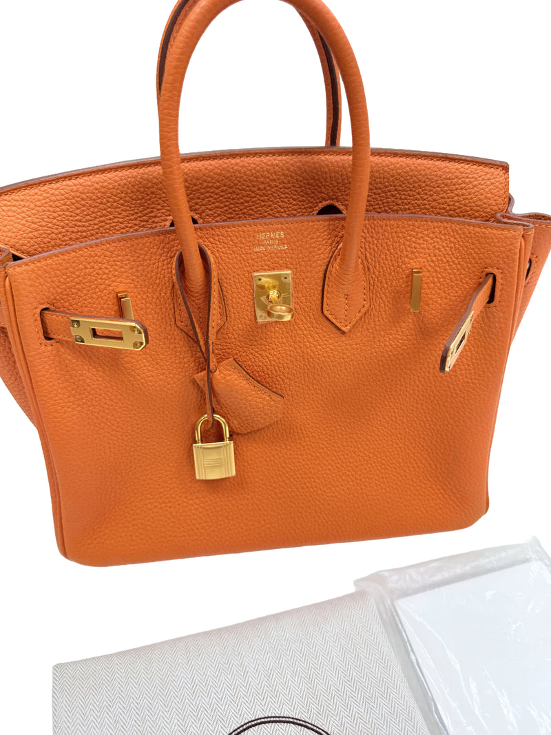 Hermes Birkin 25 Orange Togo Leather with Gold Hardware Handbag