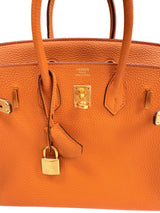 Hermes Birkin 25 Orange Togo Leather with Gold Hardware Handbag