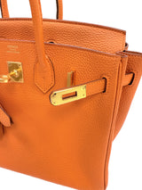 Hermes Birkin 25 Orange Togo Leather with Gold Hardware Handbag