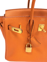 Hermes Birkin 25 Orange Togo Leather with Gold Hardware Handbag