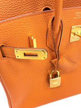 Hermes Birkin 25 Orange Togo Leather with Gold Hardware Handbag