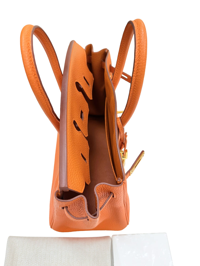 Hermes Birkin 25 Orange Togo Leather with Gold Hardware Handbag