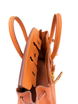 Hermes Birkin 25 Orange Togo Leather with Gold Hardware Handbag