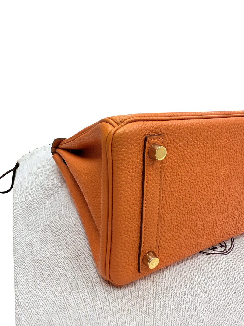 Hermes Birkin 25 Orange Togo Leather with Gold Hardware Handbag