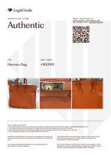 Hermes Birkin 25 Orange Togo Leather with Gold Hardware Handbag